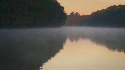  [upbeat acoustic guitar]
 ¶ - V.C. Andrews' Pearl in the Mist