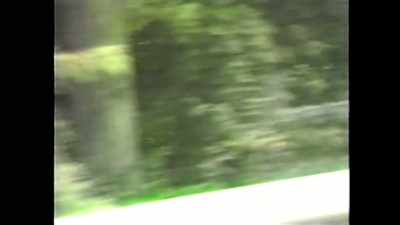 [upbeat music continues] - Shadow of a Wheel