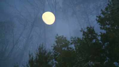 [upbeat music playing] - Moonshiners: Master Distiller