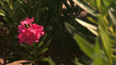(upbeat music)
♪ - Island of Bryan