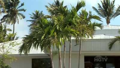 ♪ (upbeat music) ♪ - Island of Bryan