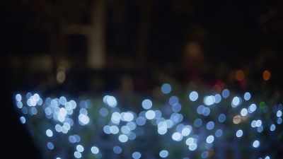 [upbeat music] - The Holiday Proposal Plan