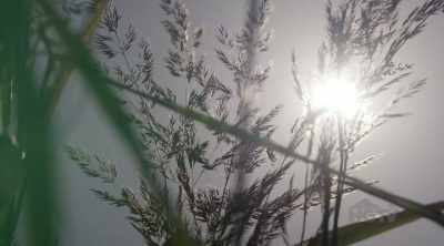 ♪ (upbeat music) ♪ - Renovation Resort