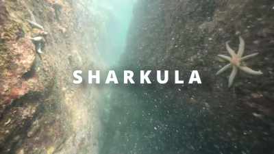 (upbeat rock music)
♪ Sharkula ♪ - Sharkula