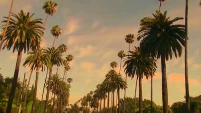 -[upbeat song playing]
-♪ All I need ♪ - Buying Beverly Hills