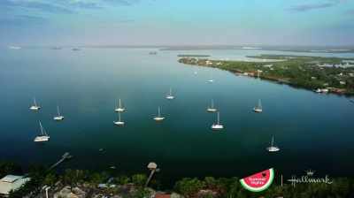 (upbeat steel drum music) - Caribbean Summer