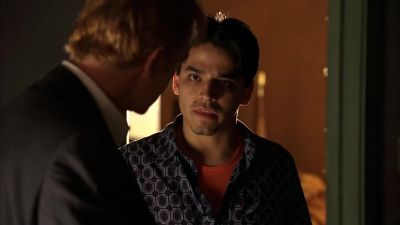 Urban guard dogs. - CSI: Miami