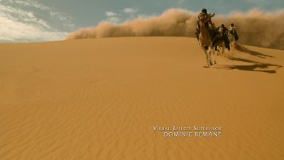 (URGING CAMEL) - Vikings