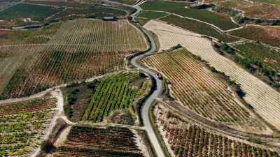 URRUTIA: Harvest is
the most challenging moment, - Europe From Above