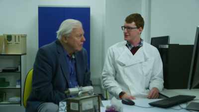 uses-its-paddles - Attenborough and the Sea Dragon