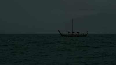Using a remarkable sense of smell,
they can navigate back to their nest - Wild Ways of the Vikings