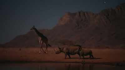 Using a sensitive night vision camera,
we are able to see them in color. - Our Great National Parks