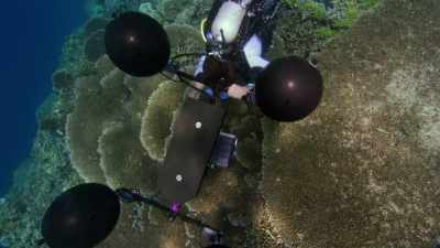 Using an advanced
multi directional hydrophone, - Blue Planet II