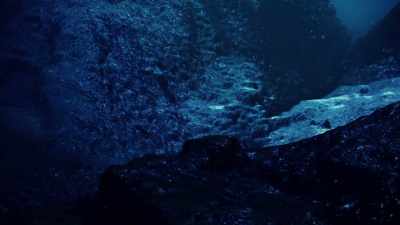 Using state of the art
deep sea sonar - Tales From The Explorers Club