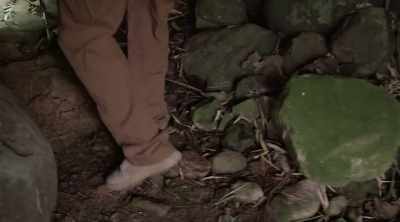 Using his years of ordnance
disposal experience, - Lost Gold of World War II