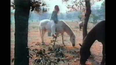 Usually on the road
I live on yogurt and nuts, - If I Leave Here Tomorrow: A Film About Lynyrd Skynyrd
