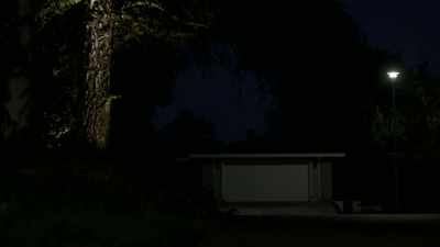 USUALLY, SHE KEEPS
HER PARENTS' DOG WITH HER - The Golden State Killer: It's Not Over