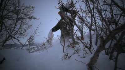 Usually the only reason
you see them is by
looking for shapes. - Life Below Zero: Next Generation