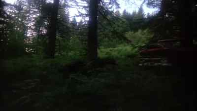 Vachel you didn't pull the brake. - Just Before Dawn