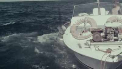 VALERIE: I saw Rodney pull Carl back. - Playing with Sharks