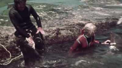 VALERIE: Pretty dangerous thing to do. - Playing with Sharks