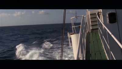 VALERIE: We were still looking
for the great white shark. - Playing with Sharks