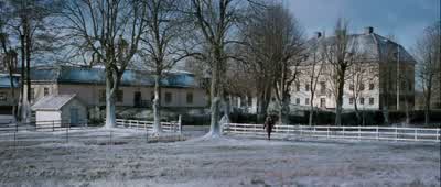 Välkommen till Hedeby! - The Girl with the Dragon Tattoo