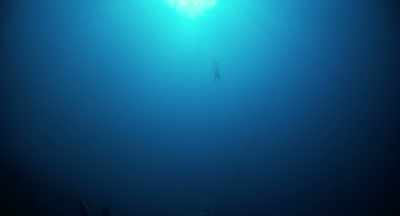 Value doesn't exist
in meters or medals. - Freediver