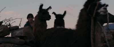 Vamos, vamos, vamos,
vamos, vamos. - Night Sky
