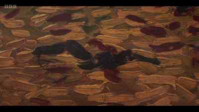 Van Gogh's life, and by
extension, our world, - Cunk on Life