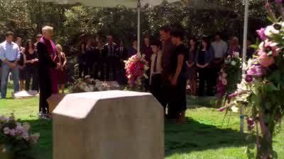 VAN PELT: I don't get it. - The Mentalist