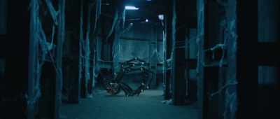 Vance, I'm sorry to take so
long, but the lab said it will - Giant Spider