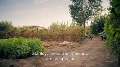 Varieties using the
San Marzano name - Stanley Tucci: Searching for Italy