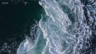 Vast amounts of water - Wild Isles