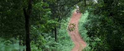 Vehicles rarely come this way...
this path was cleared by foot. - Churuli