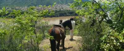 Venegas: We'll stop
here for the night, - Freelance