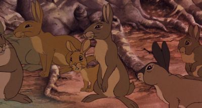 VERE ARE  CHICKS - Watership Down