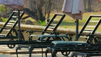 Vervet monkeys reserve a spot by the pool. - The Year Earth Changed