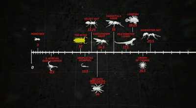- Very different experiences,
even with similar scores, - Kings of Pain