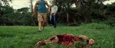 Very funny.
What happened to it? - Devil Beneath