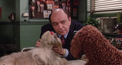 Very impressive You speak Chinese like a native - The Muppets Take Manhattan