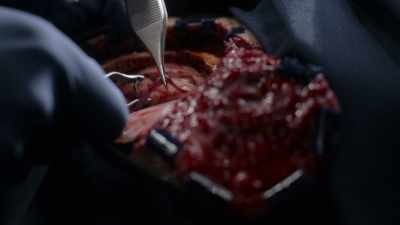 very-nice - The Good Doctor