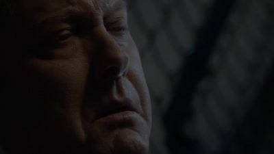 Very well. - The Blacklist
