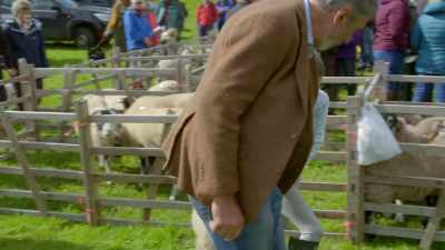 Vi, had a bit of... Give it a rest. - Our Yorkshire Farm