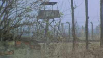 Vi las excavadoras... - The Tattooist’s Son: Journey to Auschwitz
