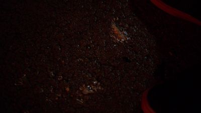 [ Vial cracks ] - Rizzoli & Isles