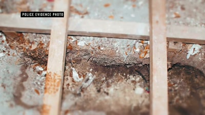 Victoria has discovered
the suspicious trench - How I Caught My Killer