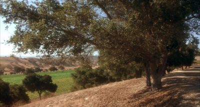 Victoria and I used to like this view - Sideways
