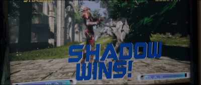 [videogame voice]
Shadow wins! - The Kill Team