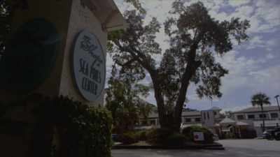 Viens: A TRAFFIC CITATION
AFTER MIDNIGHT - Hometown Homicide